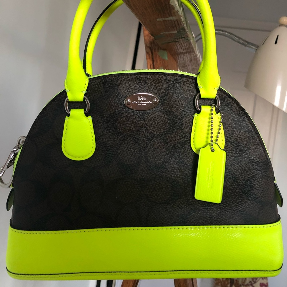 Mini Coach purse